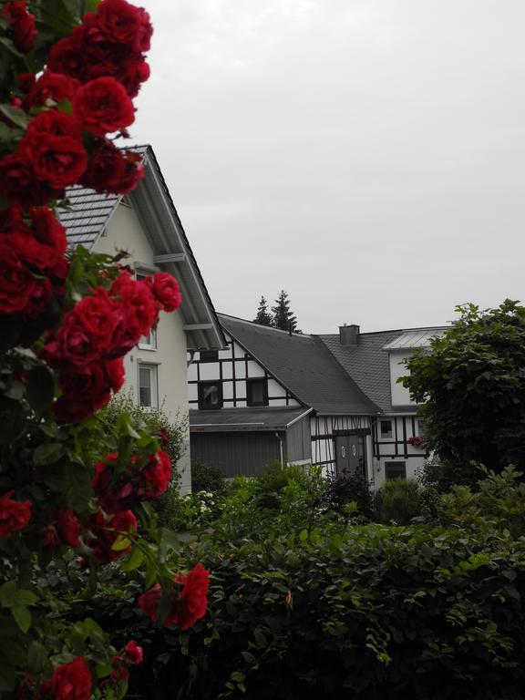 Wilkenhof Apartman Willingen  Kültér fotó
