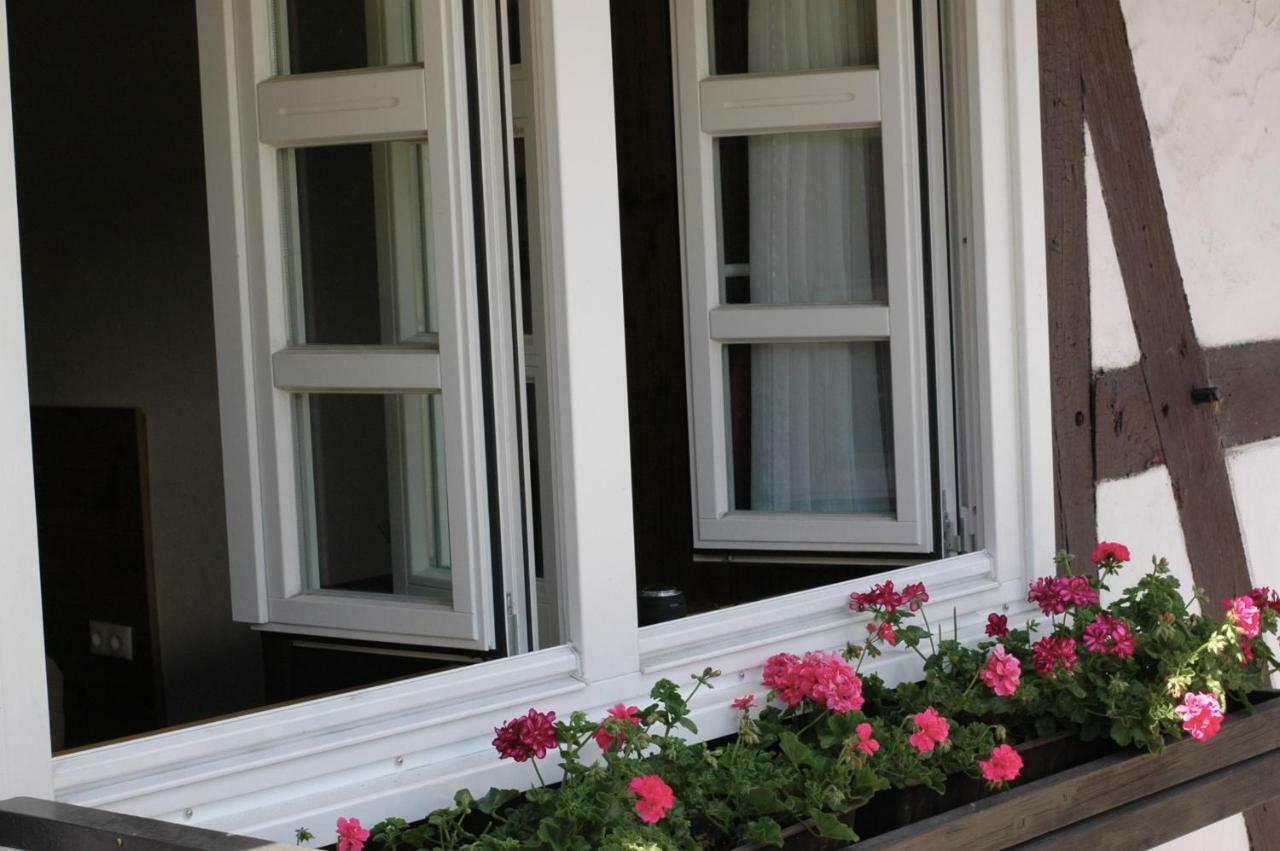 Wilkenhof Apartman Willingen  Kültér fotó